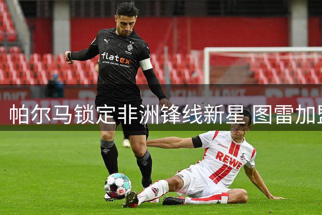 帕尔马锁定非洲锋线新星 图雷加盟助力升级之路