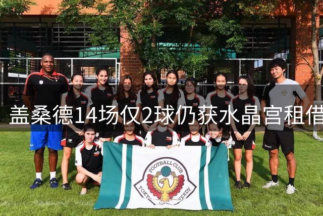 盖桑德14场仅2球仍获水晶宫租借，维拉将外租